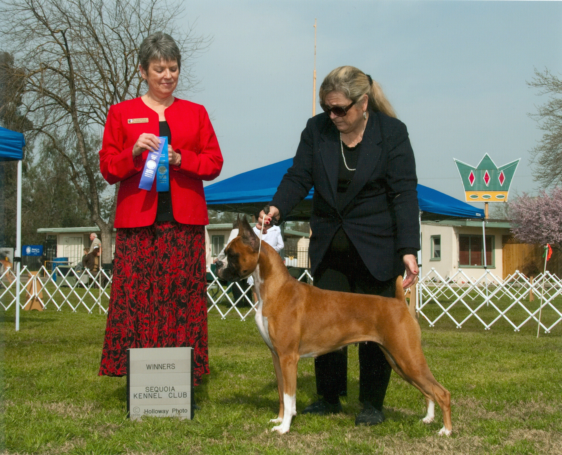  - BOS Win picture march5 2010 judge daniels